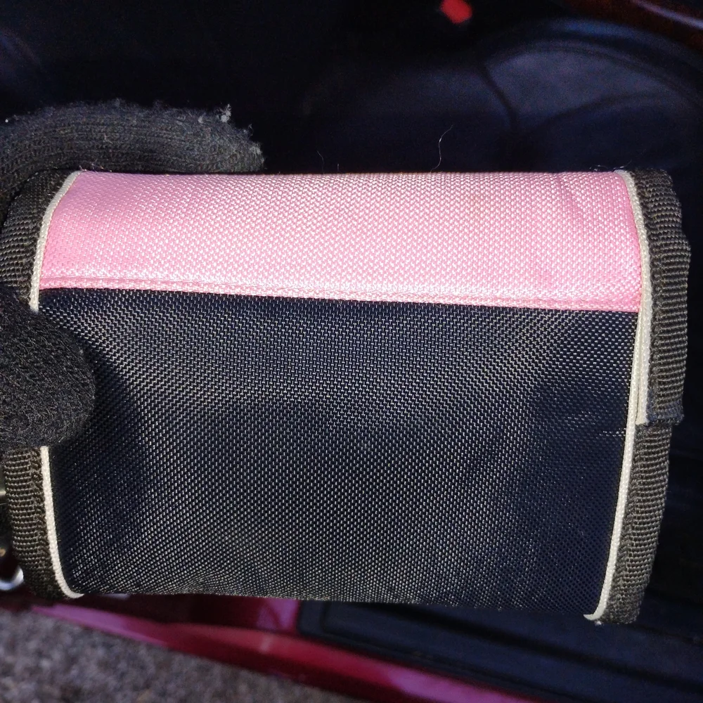 Nintendo DS Pink and Black Carrying Case